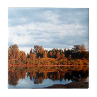 Carreau terrain-1391