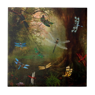 Carreau Terrain de jeu de libellule