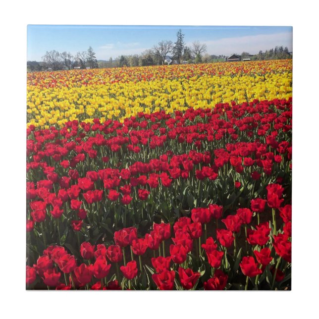 Carreau Terrain de Red & Yellow (Devant)