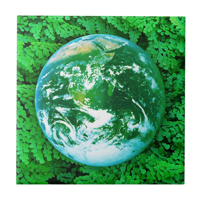 Carreau Terre verte, sensibilisation écologique (Devant)