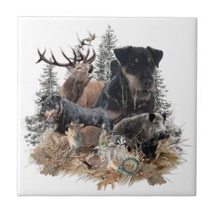 Carreau Terrier de chasse allemand (Jagdterrier)