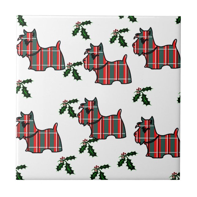 CARREAU TERRIER ÉCOSSAIS (Devant)