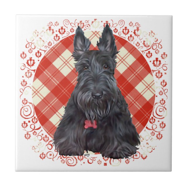 Carreau Terrier Écossais sur Tartan (Devant)