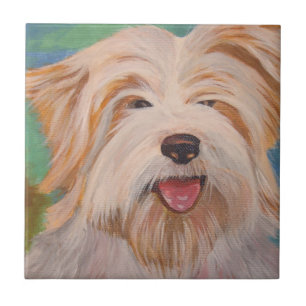 Carreau Terrier Portrait Cute Pet Chien Art