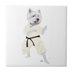 Carreau Tervueren Karate !