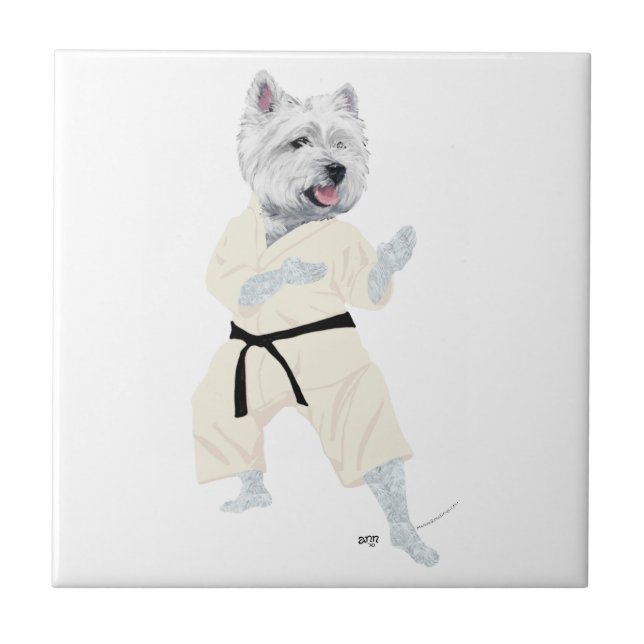Carreau Tervueren Karate ! (Devant)