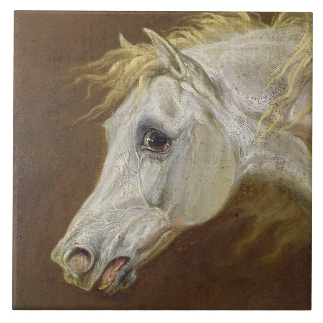 Carreau Tête d'un cheval Arabe gris (huile sur la toile (Devant)