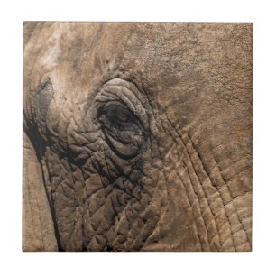 Carreau Tête d'un éléphant