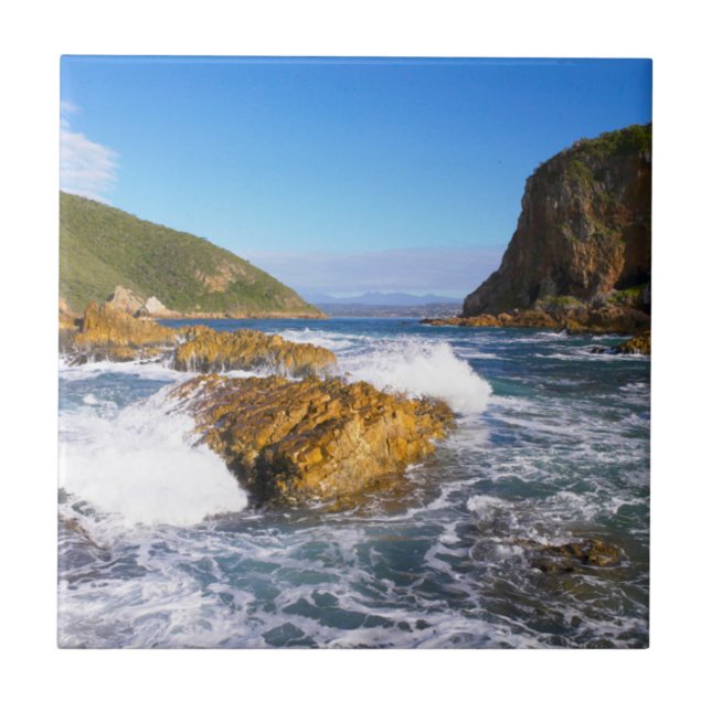 Carreau Têtes de Knysna, Route des jardins, Cap-Occidental (Devant)