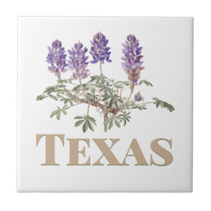 Carreau Texas Bluebonnet 2