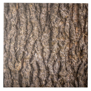Carreau Texture de l'écorce d'arbre