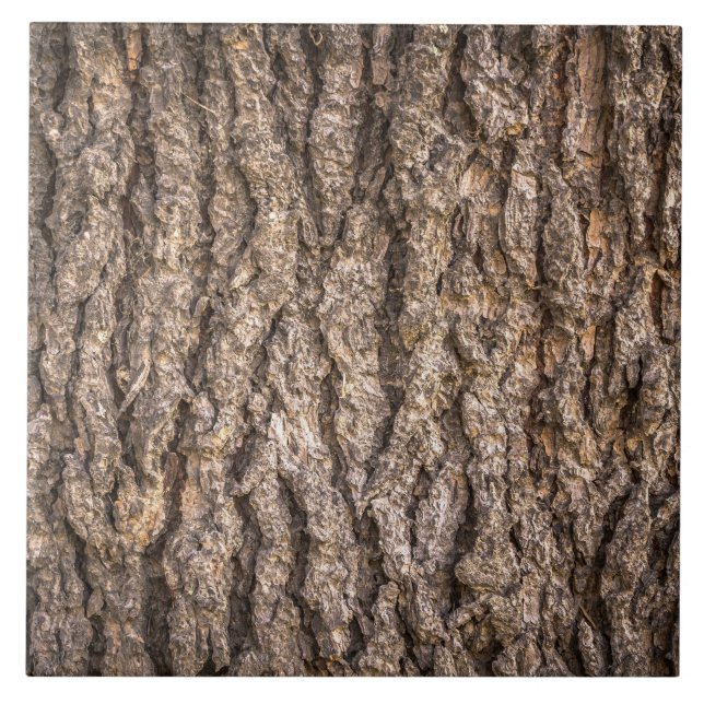 Carreau Texture de l'écorce d'arbre (Devant)