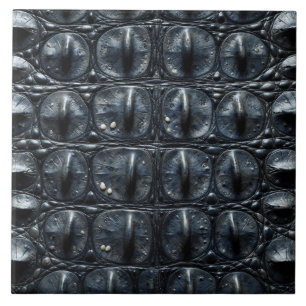 Carreau texture de peau de crocodile animal nature échelle