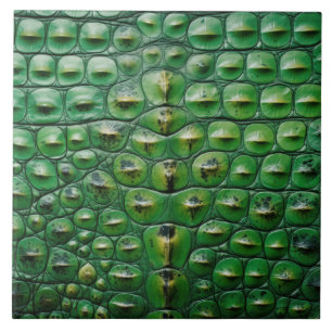 Carreau texture de peau de crocodile animal vert écaille s