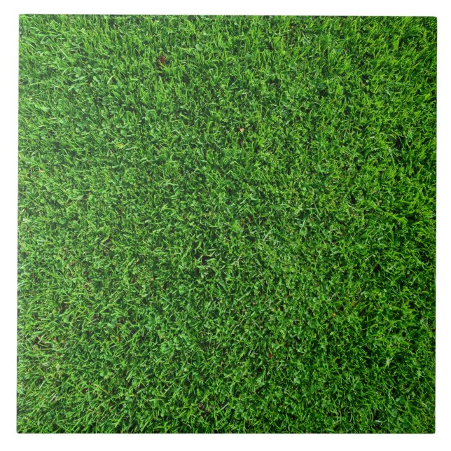 Carreau Texture d'herbe verte (Devant)
