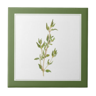Carreau THYME FRAIS 4.25x4.25 Carrelage en céramique (text