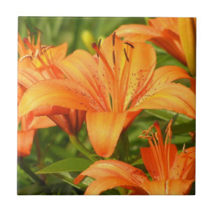 Carreau Tiger Lily