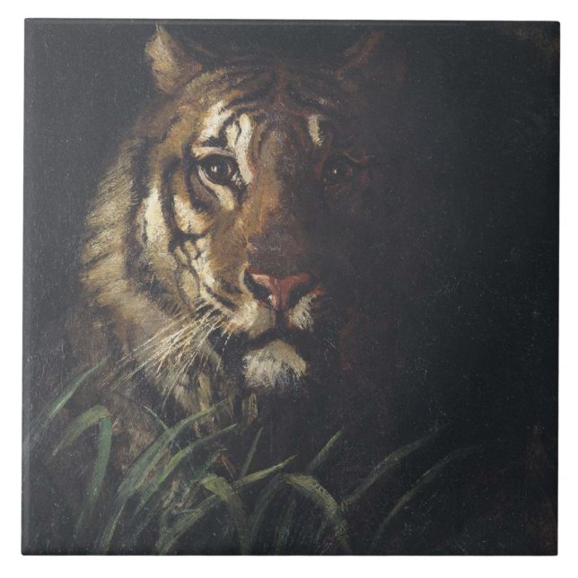 Carreau Tiger's Head (par Abott Handerson Thayer) (Devant)
