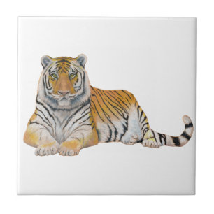 Carreau Tigre