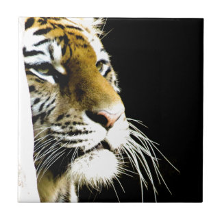 Carreau Tigre