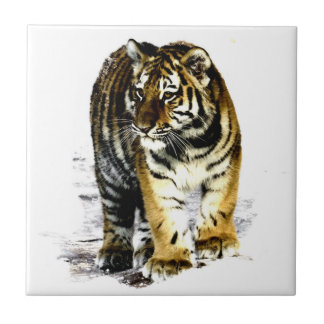 Carreau Tigre