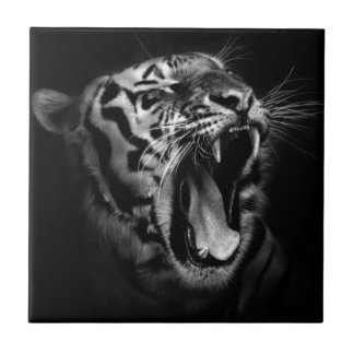 Carreau Tigre noir et blanc