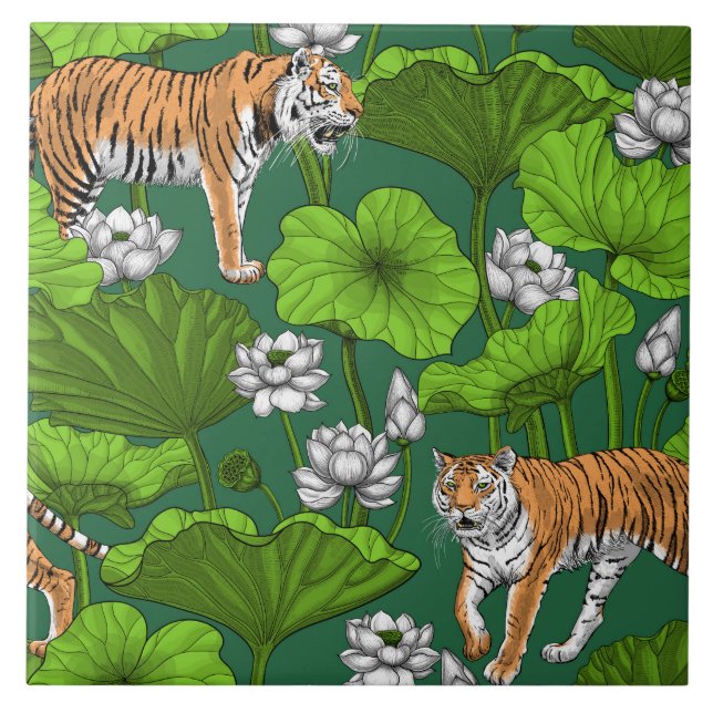 Carreau Tigres dans l'étang blanc de lotus (Devant)