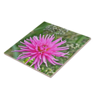 CARREAU TILE CÉRAMIQUE /PINK DAHLIA