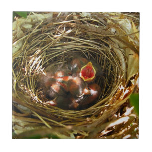 Carreau Tile d'art Sing Out