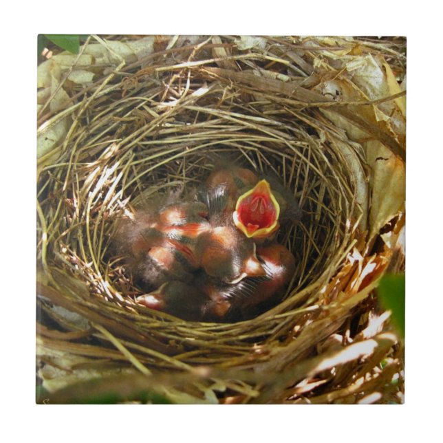 Carreau Tile d'art Sing Out (Devant)