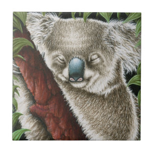 Carreau Tile de Koala endormie