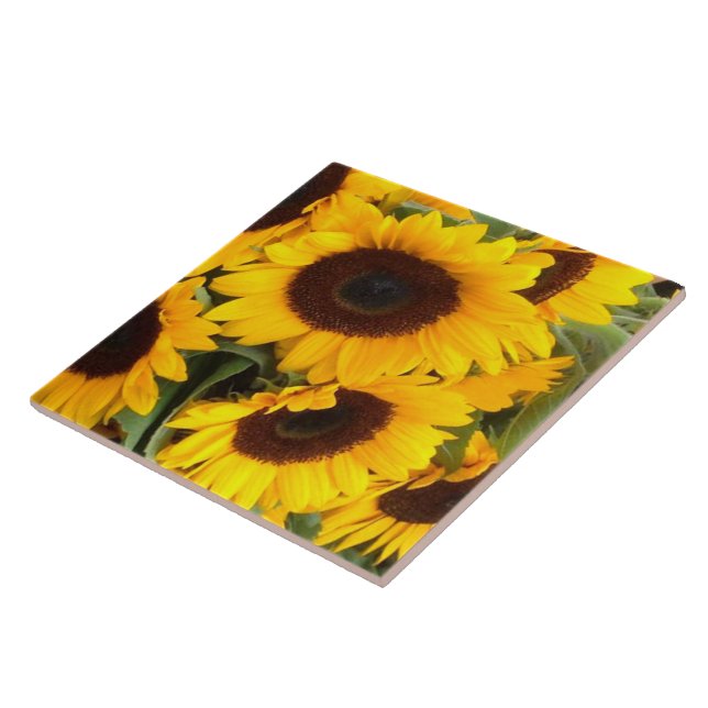 Carreau Tile de tournesol (Côté)
