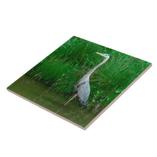 CARREAU TILE, "HERON BLEU EN ÉTANG" (PHOTOG.)