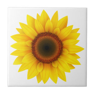 Carreau Tile Trivet-Tournesol