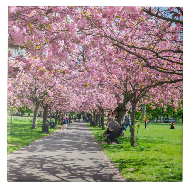 Carreau Tissu céramique cerise fleurie (Devant)