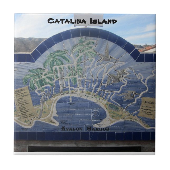 CARREAU TITRE CÉRAMIQUE DE L'ÎLE CATALINA (Devant)