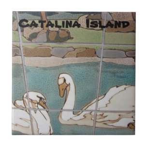 CARREAU TITRE CÉRAMIQUE DE L'ÎLE CATALINA