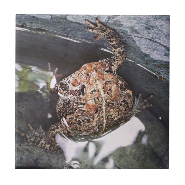 Carreau Toad (Devant)
