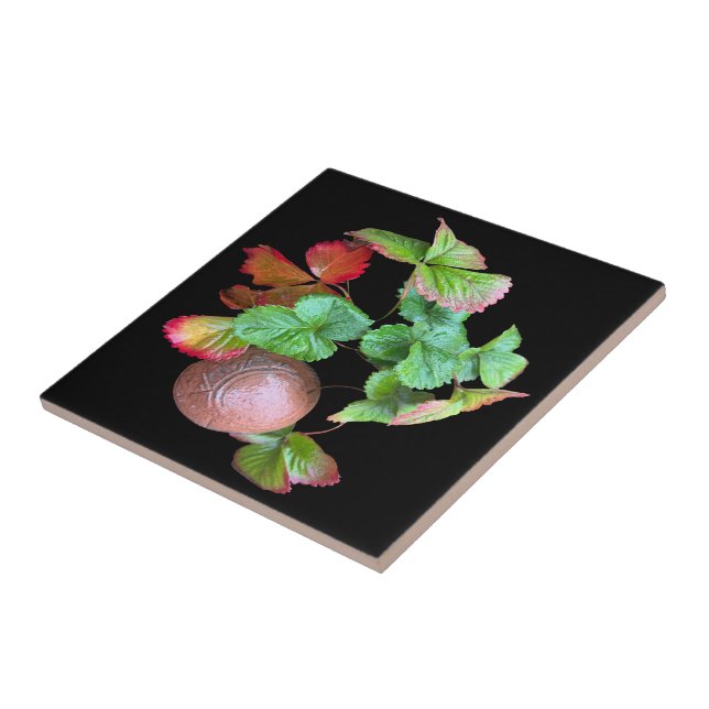 Carreau Tombez dans la saison des fraises Jardin de jardin (Côté)