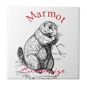 Carreau Tonnerre_Cove d'animal de marmotte cuite