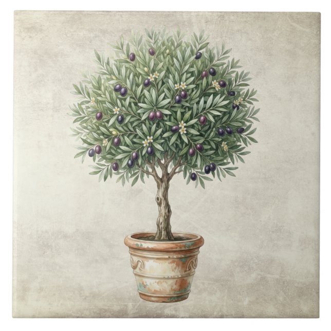 Carreau Topiaire d'olive de Toscane Méditerranée  (Devant)
