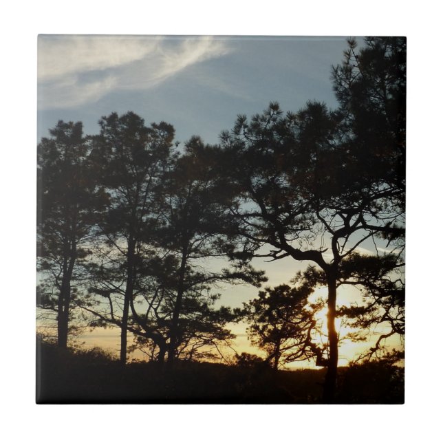 Carreau Torrey Pine Sunset II Californie Paysage (Devant)