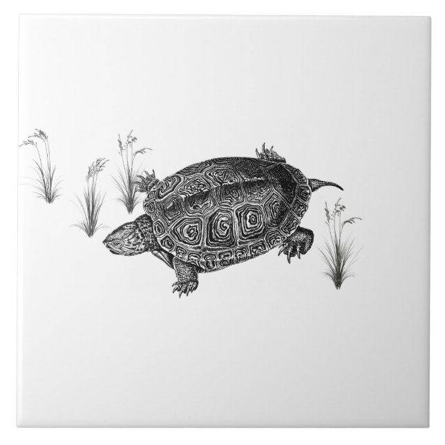 Carreau Tortue aquatique noire et blanche (Devant)