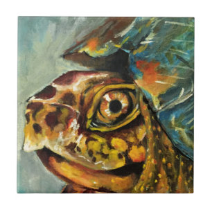 Carreau tortue de boîte