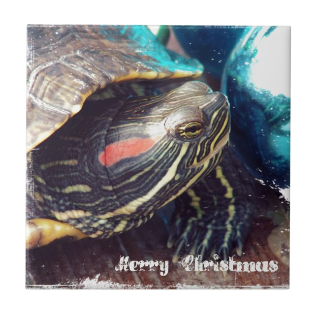 Carreau Tortue de Noël (Devant)