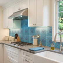 Tortue du Boho Côtier