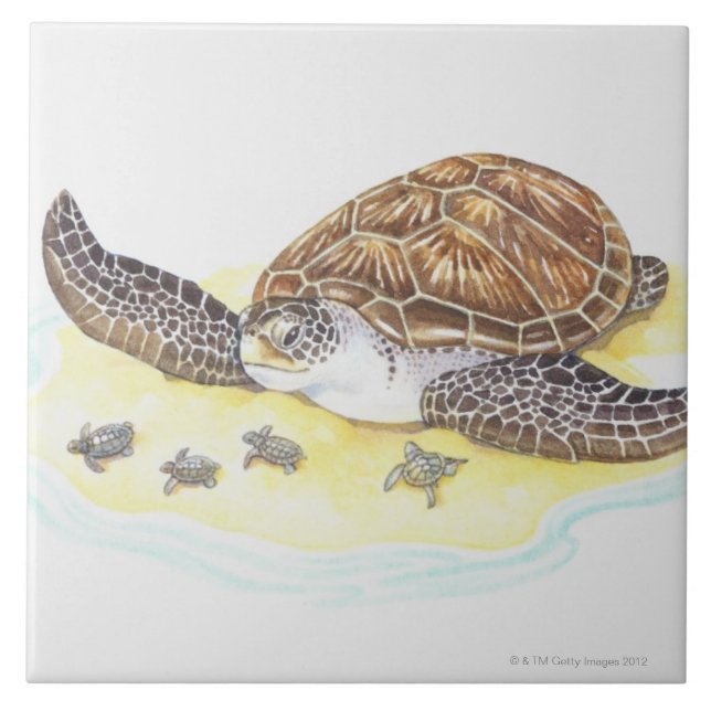 Carreau Tortue et bébés de mer (Devant)