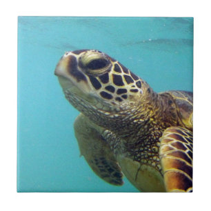 Carreau Tortue Hawaii Honu