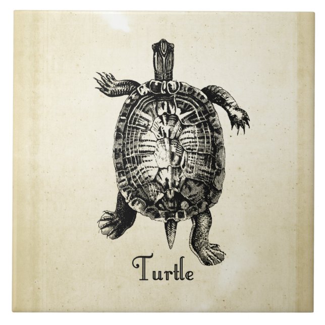 Carreau TORTUE vintage (Devant)
