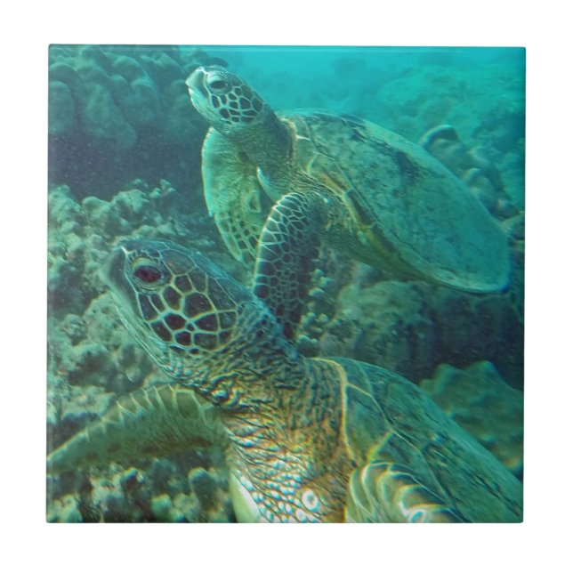 Carreau Tortues de mer verte d'Hawaï (Devant)